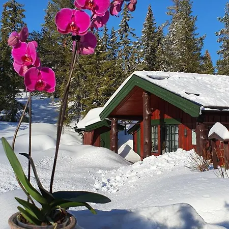 On Davita Ranch *