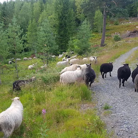 Campsite On Davita Ranch Tranhaug