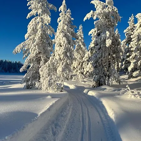 On Davita Ranch Campsite *