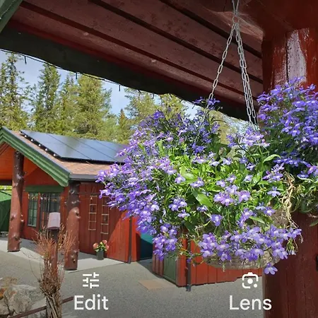 Campsite On Davita Ranch