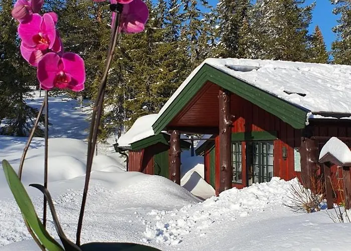 On Davita Ranch *