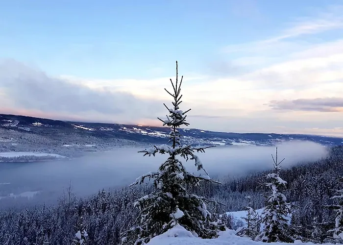 On Davita Ranch Campingplasser Tranhaug